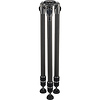 GT3533LS Systematic Series 3 Carbon Fiber Tripod (Long) Thumbnail 3