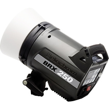 BRX 250 Monolight - Pre-Owned Image 0