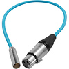 Mini-XLR Male to XLR Female Audio Cable for Canon C70 & BMPCC 6K/4K (16 in., Blue) Thumbnail 0