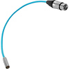 Mini-XLR Male to XLR Female Audio Cable for Canon C70 & BMPCC 6K/4K (16 in., Blue) Thumbnail 1