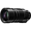 Leica DG Vario-Elmar 100-400mm f/4-6.3 II ASPH. POWER O.I.S. Lens Thumbnail 5