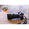 90mm f/2.8 Di III VXD Macro Lens for Nikon Z Thumbnail 9