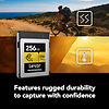 256GB Professional GOLD Series CFexpress Type B Memory Card Thumbnail 4