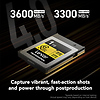 1TB Professional GOLD Series CFexpress 4.0 Type B Memory Card Thumbnail 2