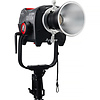 STORM 1200x Cine Kit with Skid Support, Fresnel, and Barndoors Thumbnail 2