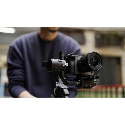 FE 16mm f/1.8 G Lens Image 11