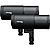 D30 500Ws Monolight Duo Kit