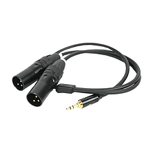 3.5mm TRS to Dual XLR Audio Cable Image 0