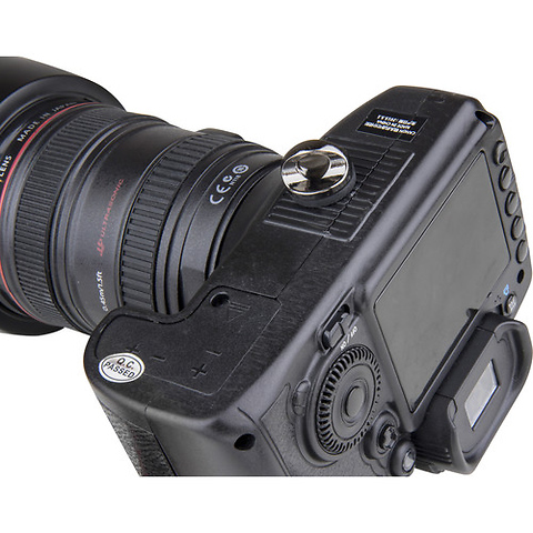 1/4 in. D-Ring Camera Mounting Screw Image 1