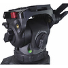 Focus 8 Fluid Head & Two-Stage Tripod SDS System (Carbon Fiber) Thumbnail 2
